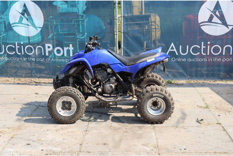 Yamaha AM01W - Quad: afbeelding 2 Yamaha AM01W - Quad: afbeelding 2