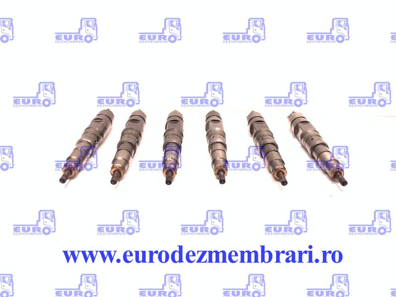 SET INJECTOARE MAN D20 51.10100.6064, 51.10100.6126 - Injector voor Vrachtwagen: afbeelding 1 SET INJECTOARE MAN D20 51.10100.6064, 51.10100.6126 - Injector voor Vrachtwagen: afbeelding 1