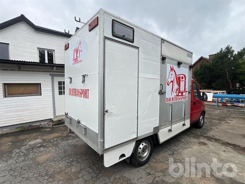 PEUGEOT BOXER CHA-CAB 35 - Paardenvrachtwagen, Bestelwagen: afbeelding 5 PEUGEOT BOXER CHA-CAB 35 - Paardenvrachtwagen, Bestelwagen: afbeelding 5