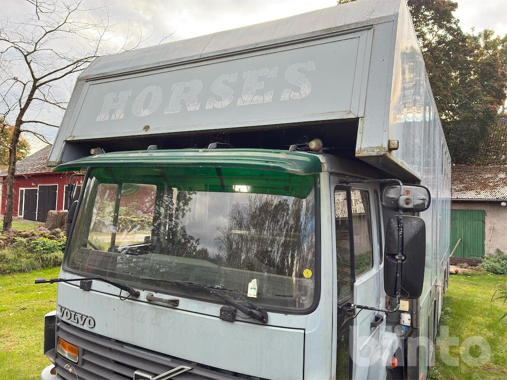 Paardenvrachtwagen VOLVO FL614: afbeelding 7