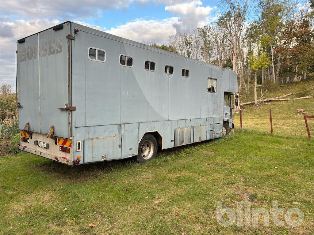 VOLVO FL614 - Paardenvrachtwagen: afbeelding 3 VOLVO FL614 - Paardenvrachtwagen: afbeelding 3