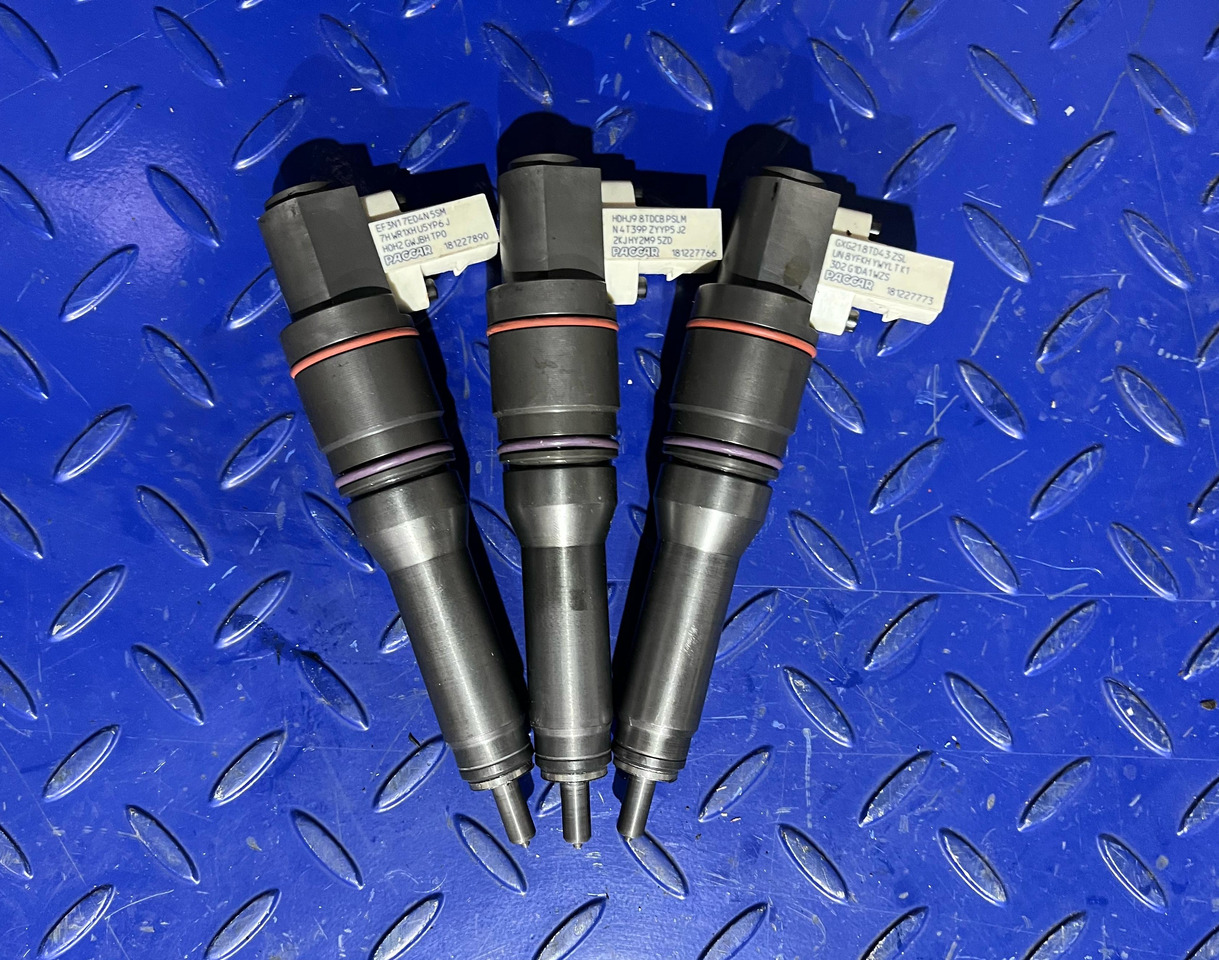 DELPHI 2005596 - Injector: afbeelding 1 DELPHI 2005596 - Injector: afbeelding 1